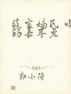 苏家嫡氏 吃肉的长耳兔