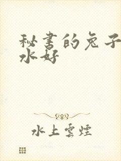 秘书的兔子好软水好