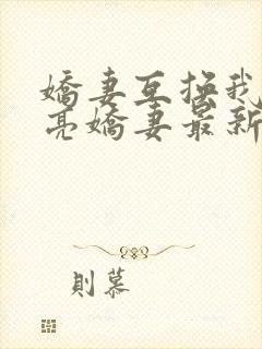 娇妻互换我的漂亮娇妻最新章节