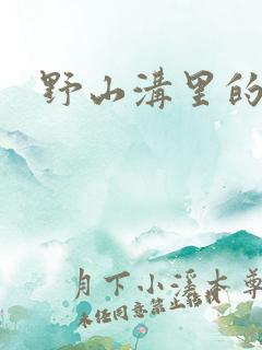 野山沟里的村庄