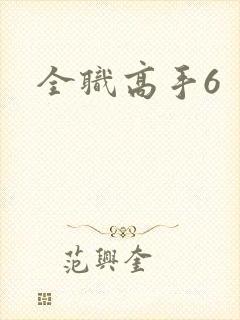 全职高手6