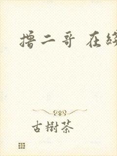 撸二哥 在线