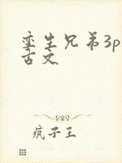 孪生兄弟3ph古文