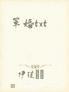军婚txt