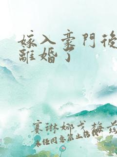 嫁入豪门后我又离婚了