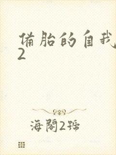 备胎的自我修养2