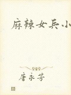 麻辣女兵小说版