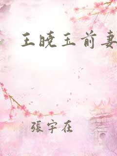 王晓玉前妻