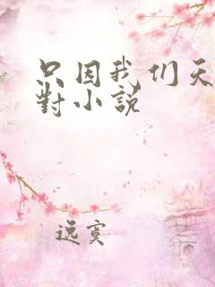 只因我们天生一对小说