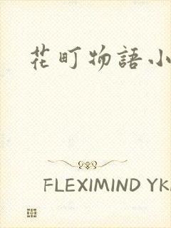 花町物语小说