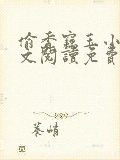 偷香窃玉小说全文阅读免费