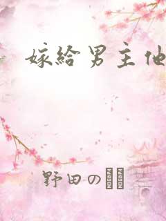嫁给男主他爹