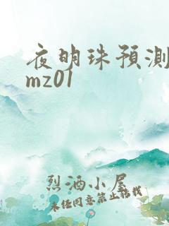 夜明珠预测 ymz01