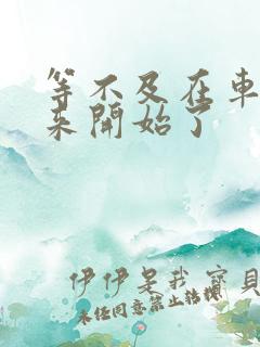 等不及在车里就来开始了