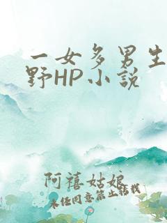 一女多男生活狂野HP小说
