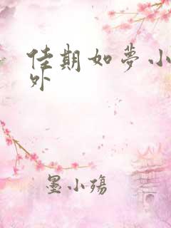 佳期如梦小说番外