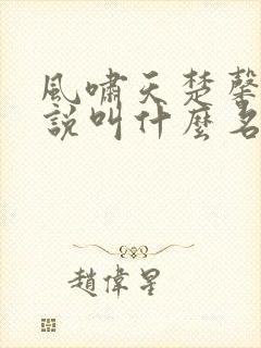 风啸天楚馨月小说叫什么名字