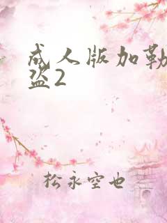 成人版加勒比海盗2