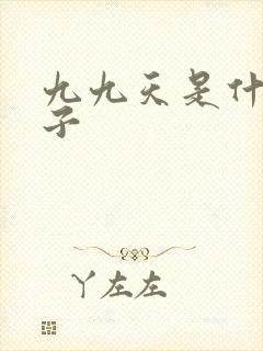 九九天是什么日子