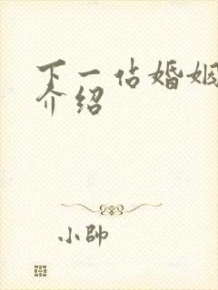 下一站婚姻剧情介绍