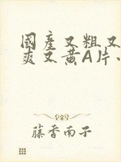 国产又粗又猛又爽又黄A片小说