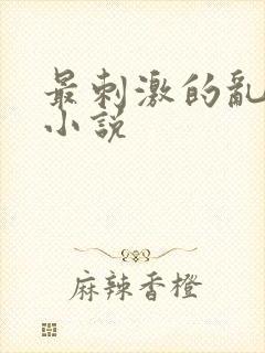 最刺激的乱子伦小说
