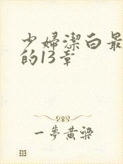少妇洁白最刺激的13章