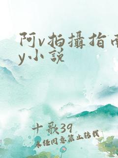 阿v拍摄指南by小说