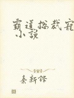 霸道总裁宠上天 小说