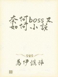 奈何boss又如何小说