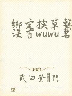 绑定挨草系统后没有wuwu名字