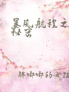 暴风航程之南海秘密