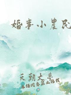 婚事小农民
