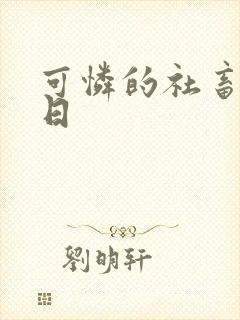 可怜的社畜东度日