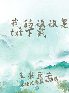 我的姐姐是美女txt下载