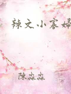 辣文小寡妇
