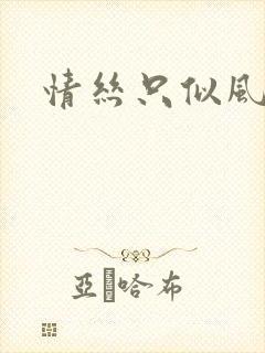 情丝只似风前絮