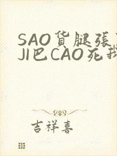 SAO货腿张开JI巴CAO死我