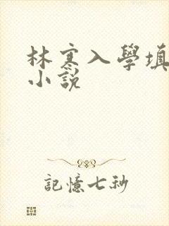 林寒入学填未婚小说