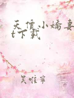 天价小娇妻txt下载