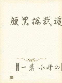 腹黑总裁追娇妻