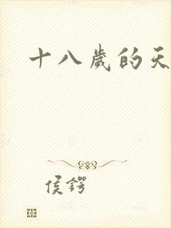 十八岁的天空续