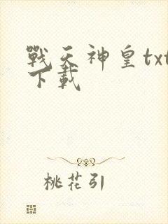 战天神皇txt下载