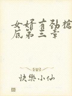 女婿有劲枪枪到底第三章