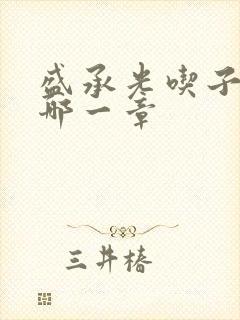 盛承光吃子时奶哪一章