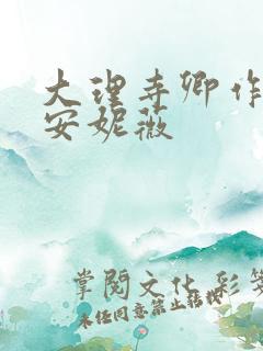 大理寺卿作者:安妮薇