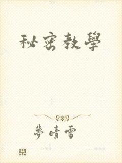 秘密教学