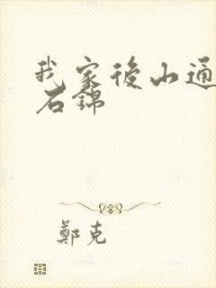 我家后山通仙界石锦