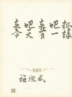 来吧来吧抓紧点今天有一样好东西