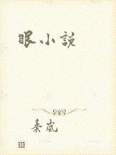 眼小说